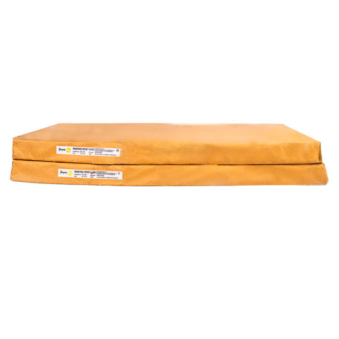 PaperPlus Bond Paper 17×27 – 60g Ream