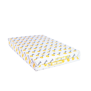 PaperPlus Bond Paper 20x30 60g Ream